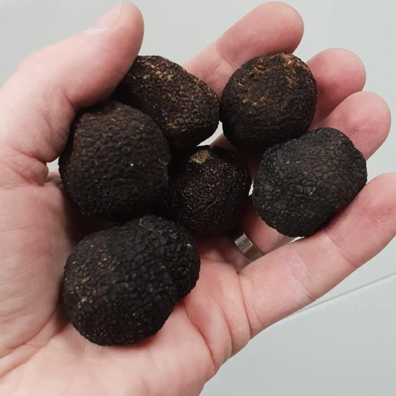 Festmat och catering